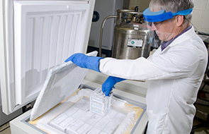 Laboratories